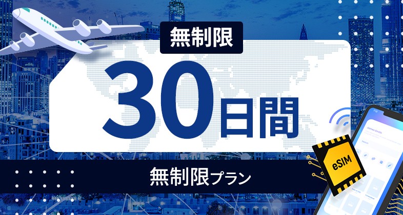 アメリカ 無制限 / 30日間